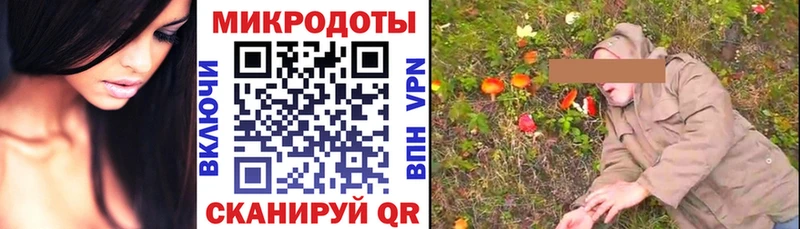 Купить  Дагестанские Огни  Галлюциногенные грибы ЛСД 